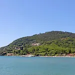 2 *